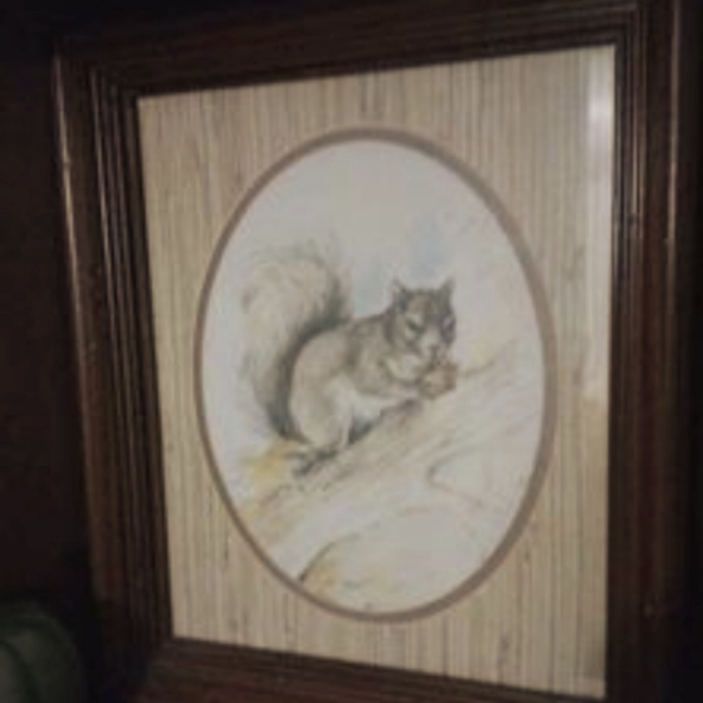 Vintage squirrel sketch framed wall art